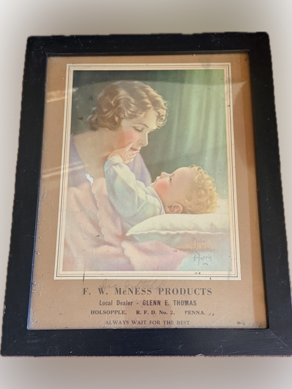 Framed Vintage Print
